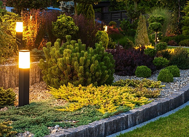 Landscape lighting illuminates lush garden at night Landscape lighting illuminates lush garden at night